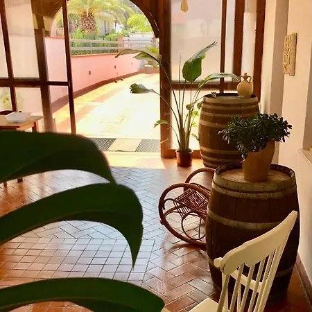 Bellami' 3* توليي