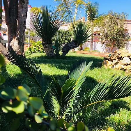 Bed & Breakfast Bellami' 3*