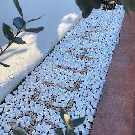 Oda ve Kahvaltı Bellami' Tuglie